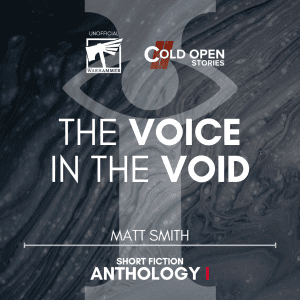 Read more about the article The Voice In The Void