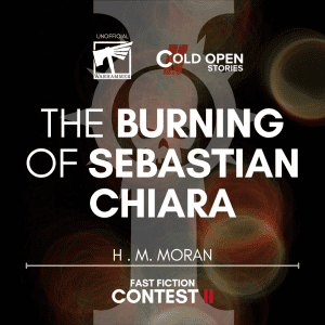 Read more about the article The Burning of Sebastian Chiara