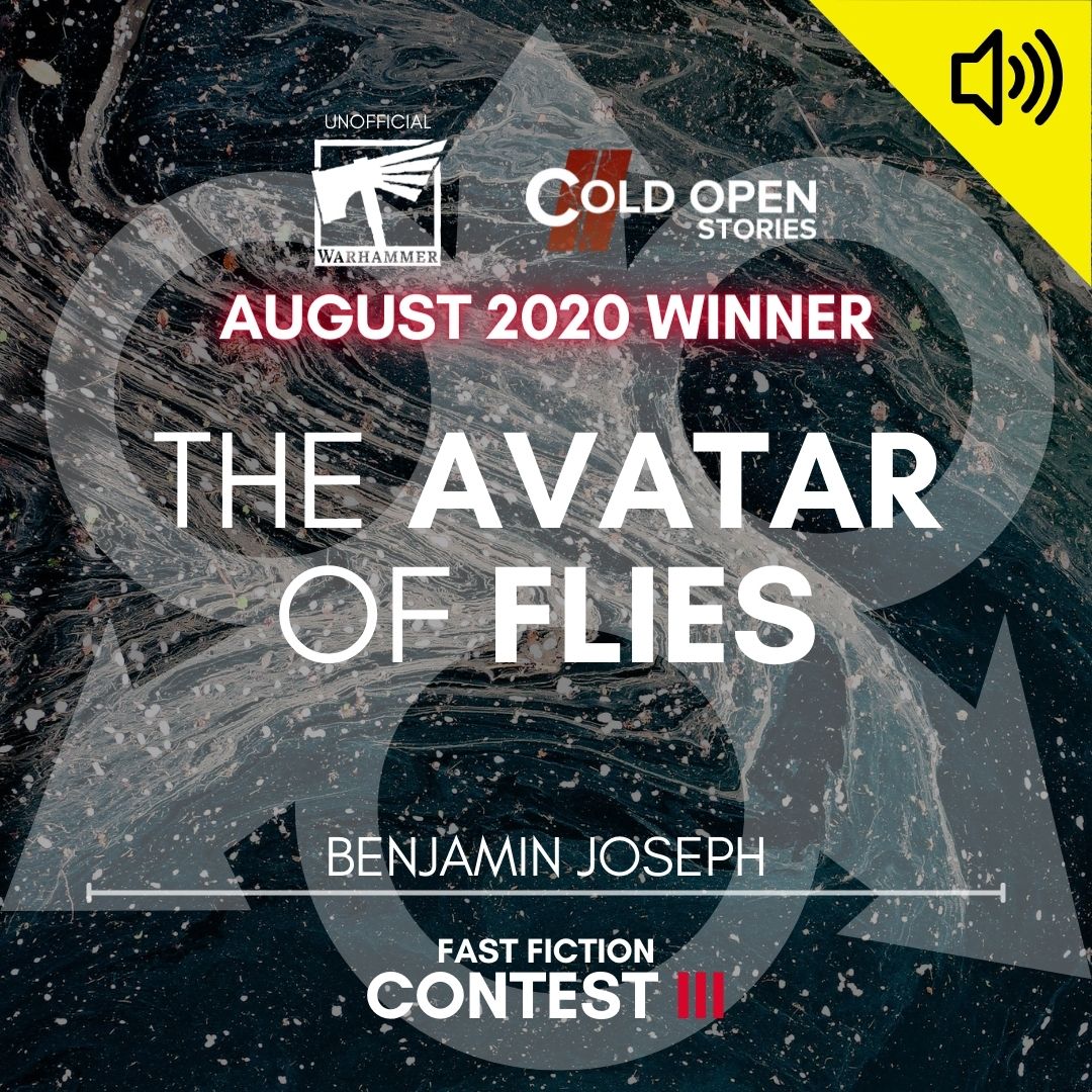 Read more about the article The Avatar of Flies