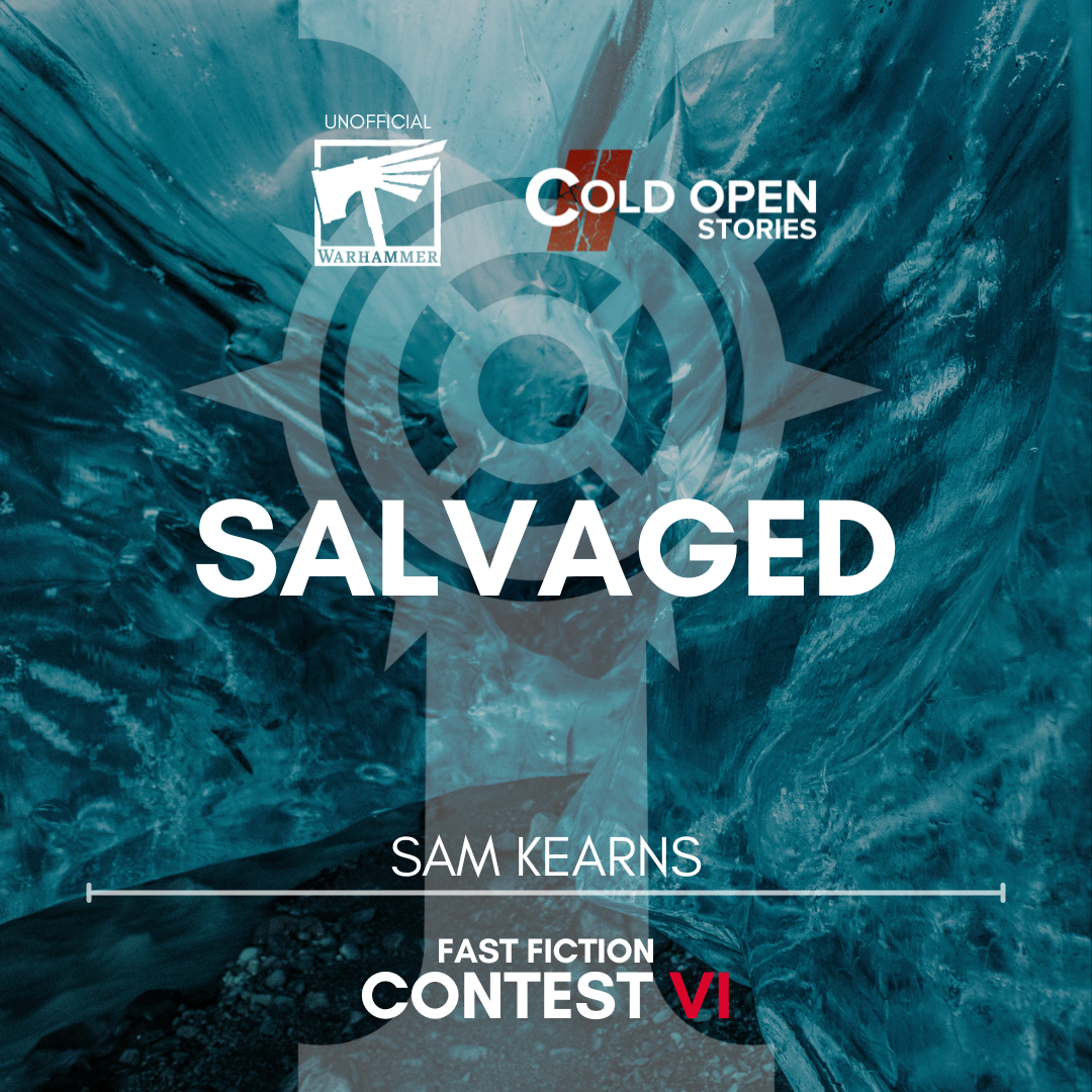 Read more about the article Salvaged