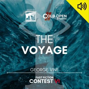 Read more about the article The Voyage