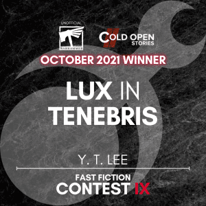 Read more about the article Lux in Tenebris
