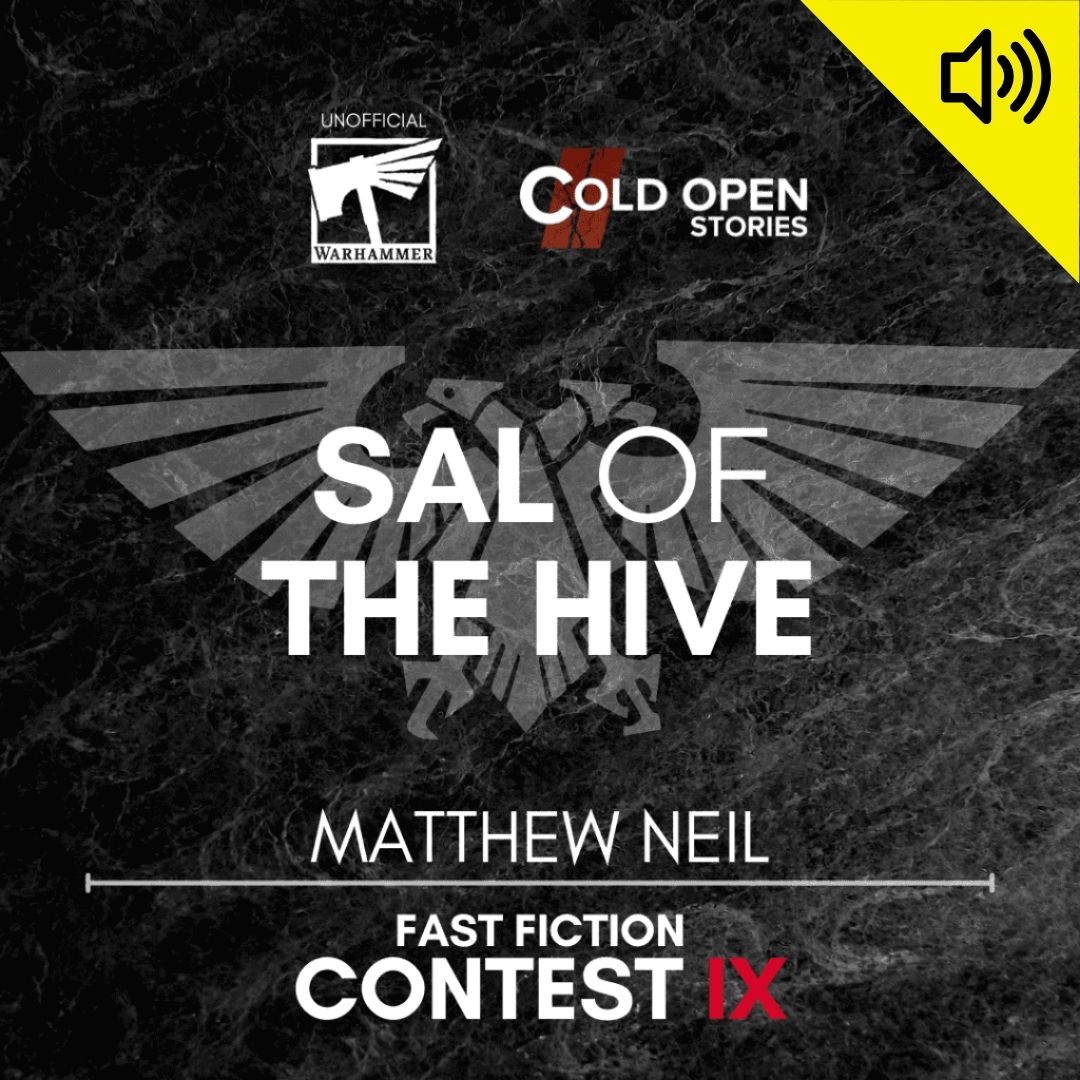 Read more about the article Sal of the Hive