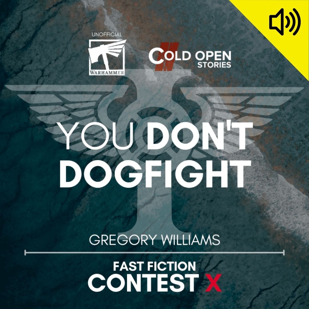 Read more about the article You Don’t Dogfight