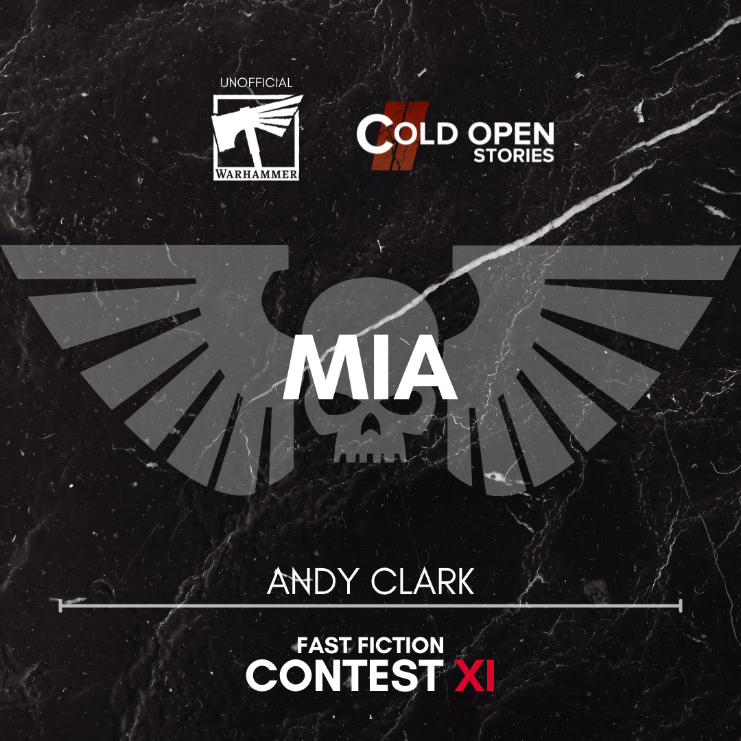 Read more about the article MIA