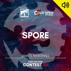 Read more about the article Spore