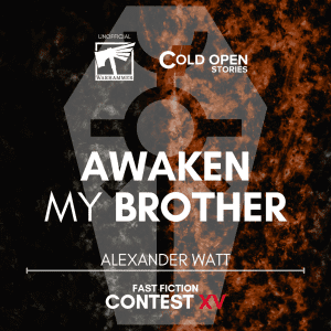 Read more about the article Awaken My Brother