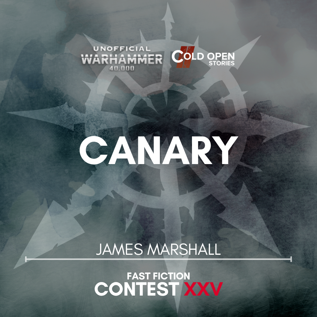 Read more about the article Canary