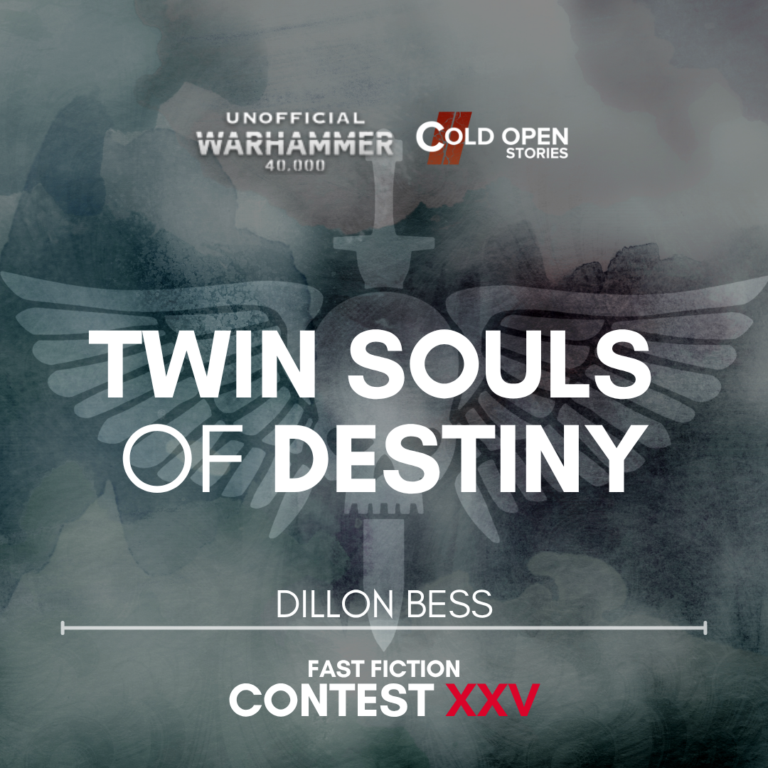 Read more about the article Twin Souls of Destiny