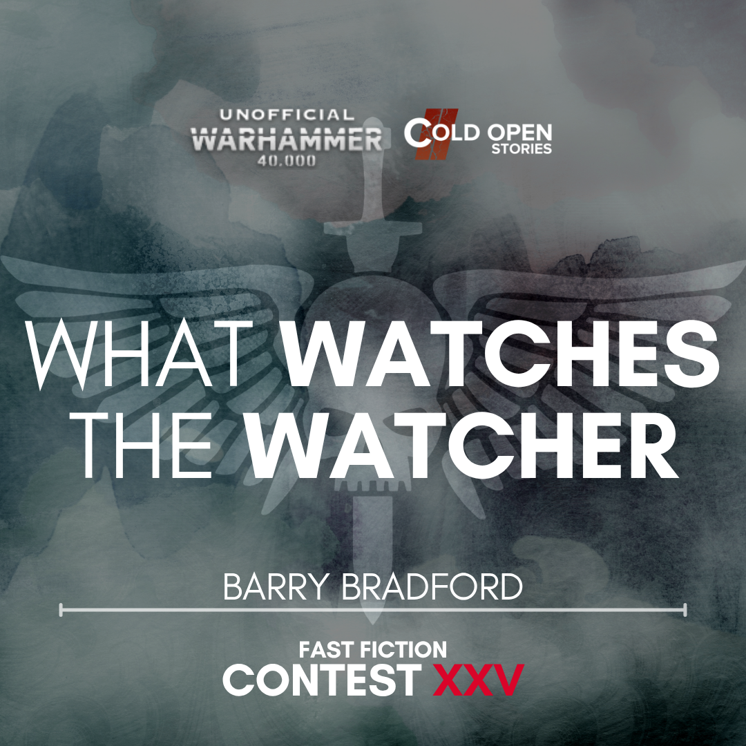Read more about the article What Watches the Watcher